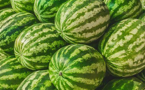 娱乐圈吃瓜要吃就吃个够,一网打尽，吃个够！