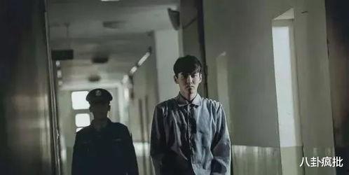 娱乐圈吃瓜阴谋论,吃瓜背后的阴谋与真相