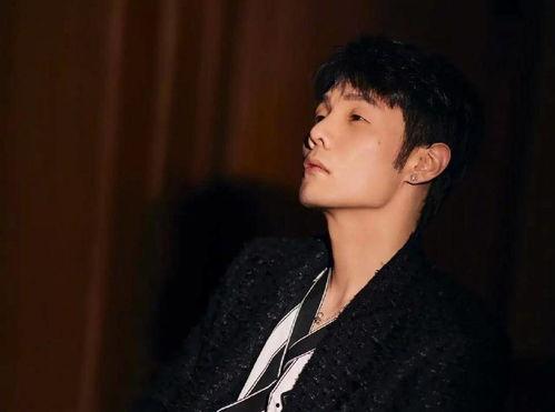 娱乐圈吃瓜最新小鲜肉,颜值与实力并存，成为新一代焦点